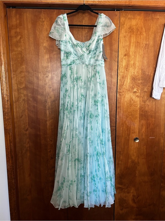 Theia Dresses & Skirts - Theia Mint Green Floral Pleated Maxi Dress